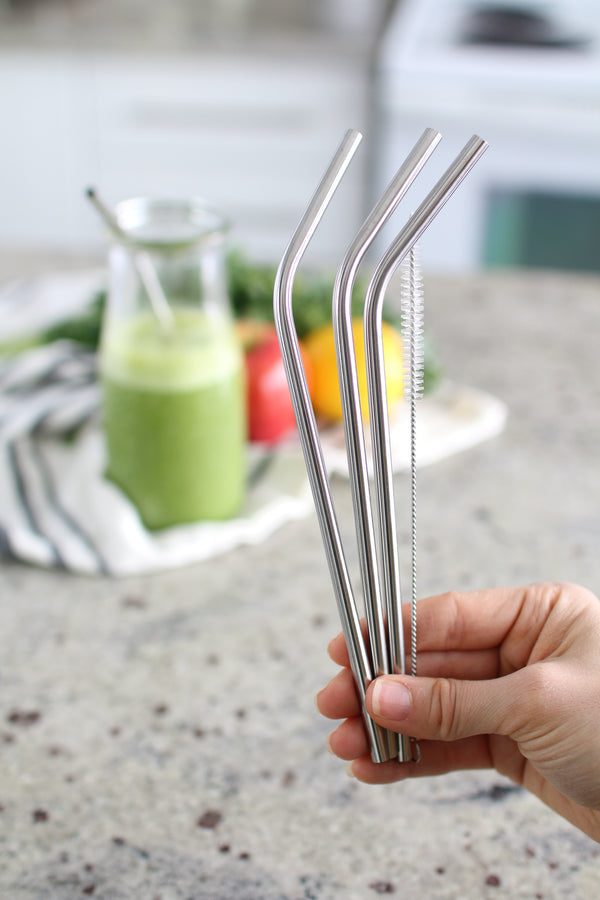 Stainless Steel Bent Straw Set (Set of 4)